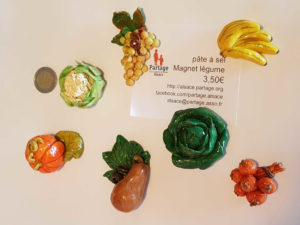pate-a-sel-magnet-legume
